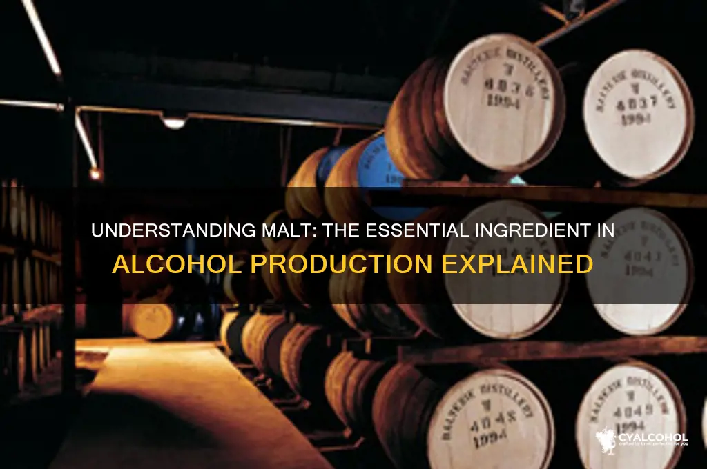 what is malt in alcohol