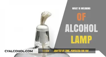 Understanding the Purpose and Function of an Alcohol Lamp