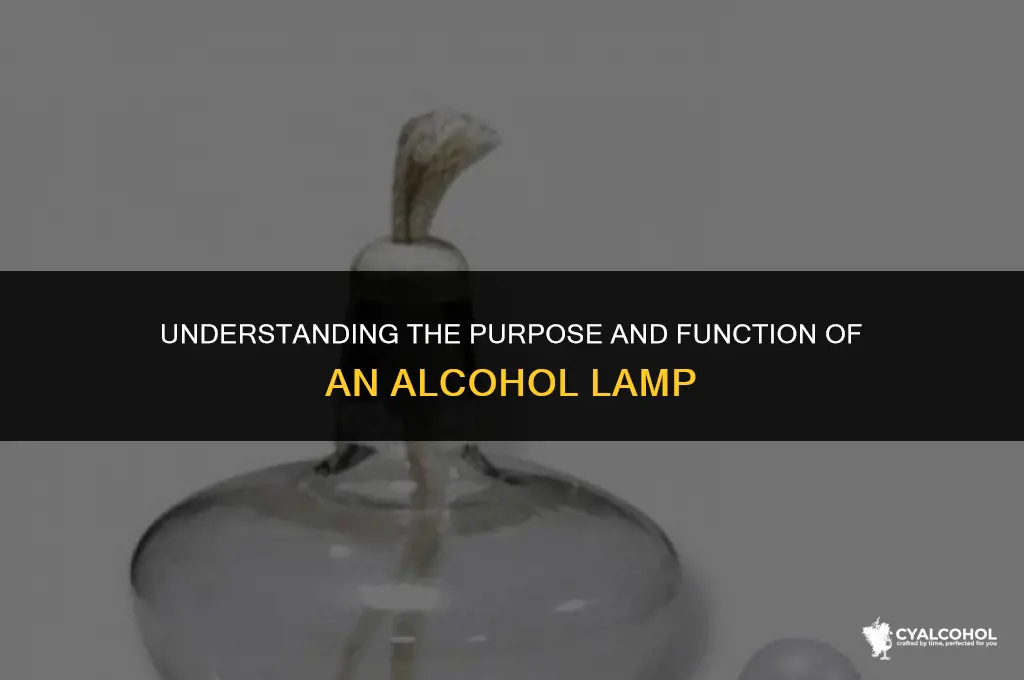 what is meaning of alcohol lamp