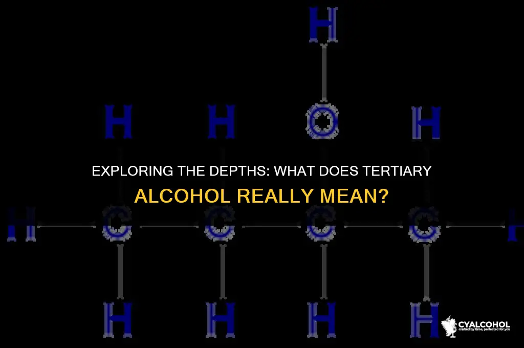 what is meaning of tertiary alcohol