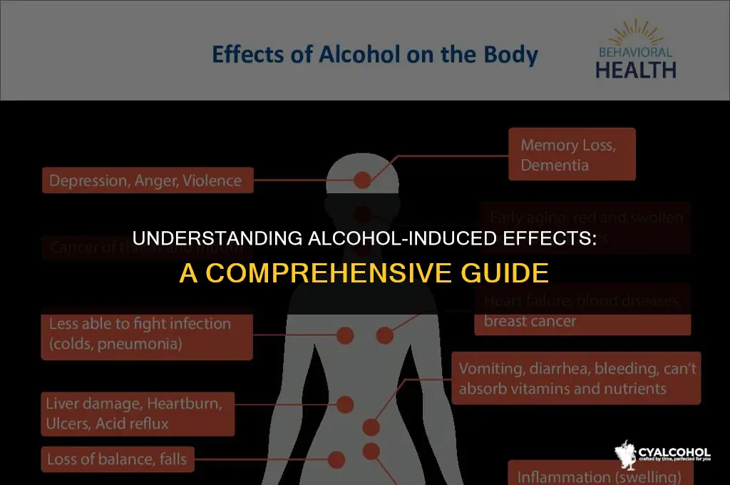 what is meant by alcohol induced