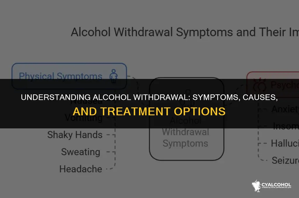 what is meant by alcohol withdrawal