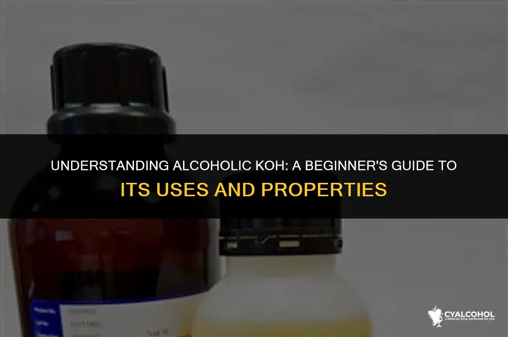 what is meant by alcoholic koh