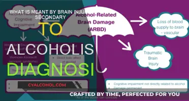 Alcoholism's Brain Injuries: Understanding the Secondary Diagnosis