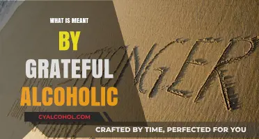 Understanding Gratitude: A Journey Through Alcoholism and Recovery