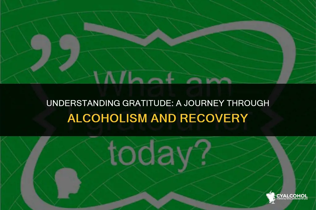 what is meant by grateful alcoholic