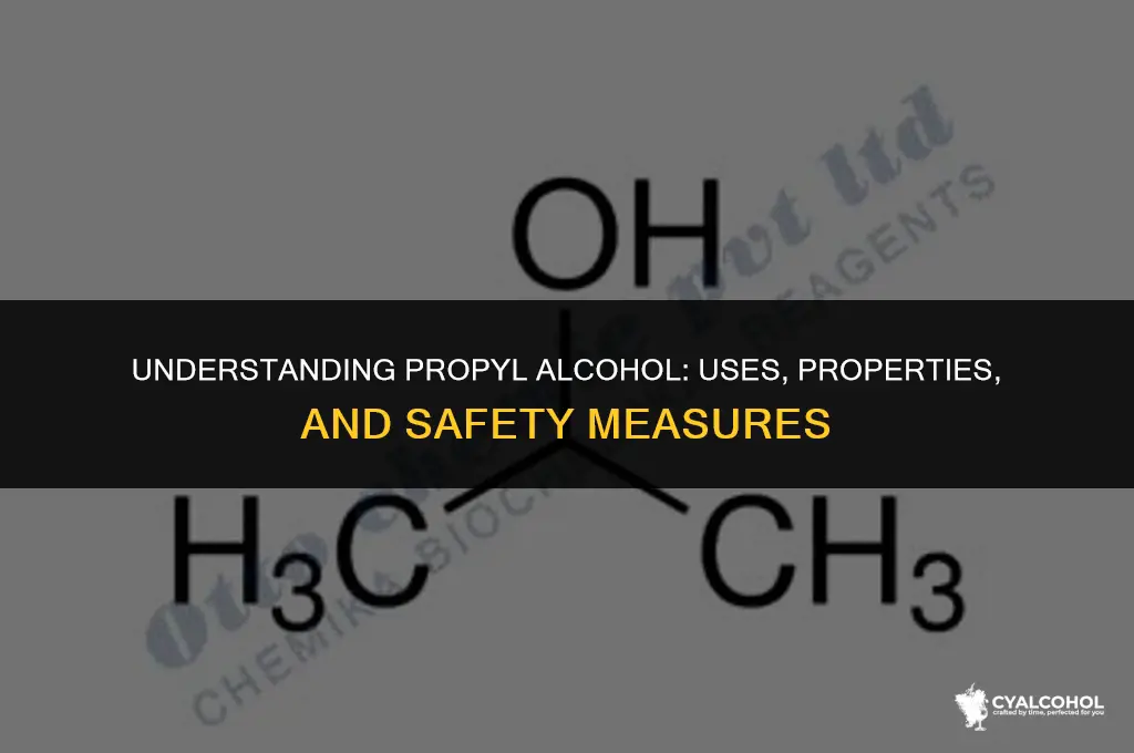 what is meant by propyl alcohol