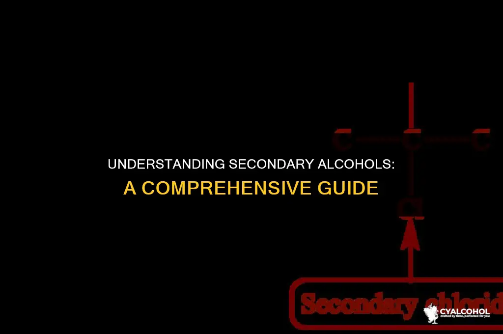 what is meant by secondary alcohol