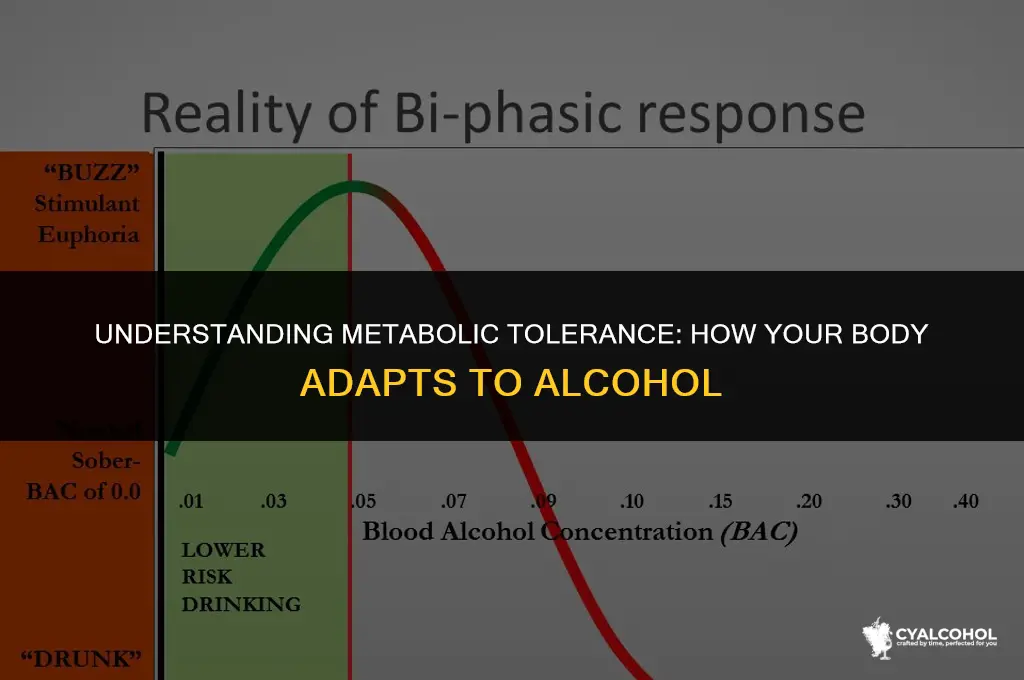 what is metabolic tolerance for alcohol