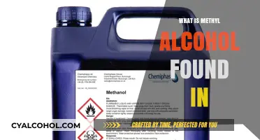 Where is Methyl Alcohol Found: Common Sources and Uses Explained