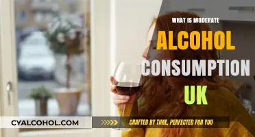 Understanding Moderate Alcohol Consumption in the UK: A Comprehensive Guide