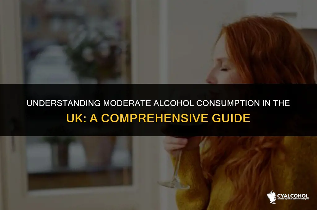 what is moderate alcohol consumption uk