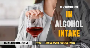 Finding Balance: The Art of Moderate Alcohol Consumption