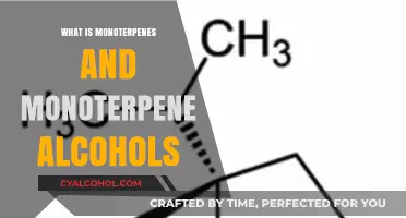 Exploring Monoterpenes and Monoterpene Alcohols: Nature's Aromatic Wonders
