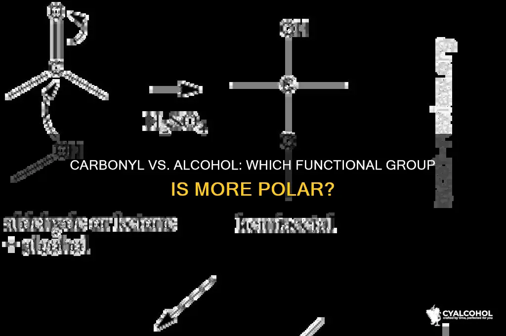 what is more polar a carbonyl or alcohol