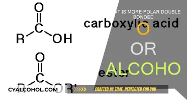 Alcohol vs. Double Bond: Polar Nature Unveiled