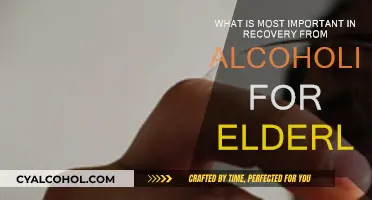 Alcoholism Recovery for Elderly: Prioritizing Mindfulness and Support