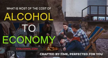 Alcohol's Economic Impact: Hidden Costs Revealed