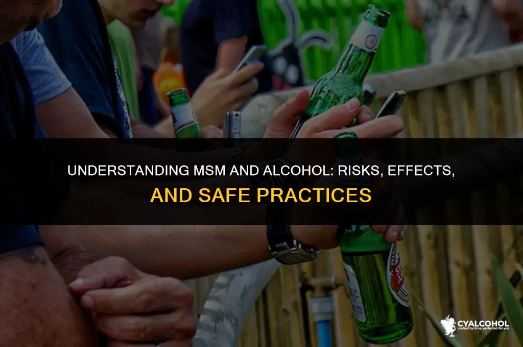 what is msm and and alcohol