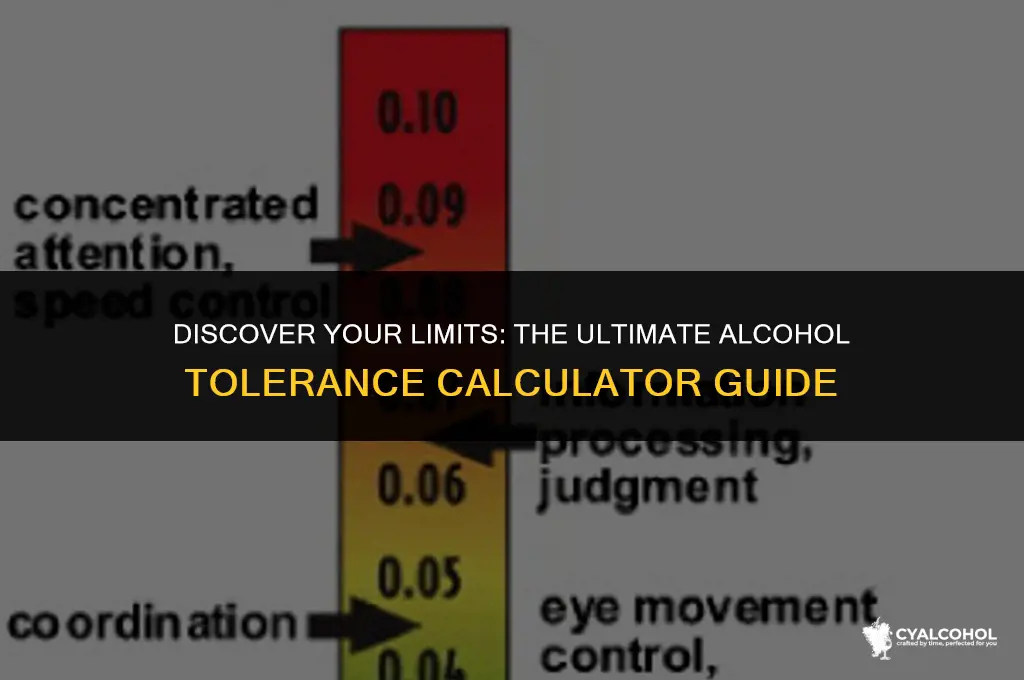 what is my alcohol tolerance calculator
