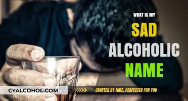 Echoes of Sobriety: Unveiling the Melancholy Behind My Alcoholic Alias