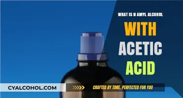 Understanding n-Amyl Alcohol and Acetic Acid: Properties and Applications
