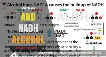 Exploring the Biochemistry of NAD and NADH in Alcohol Metabolism