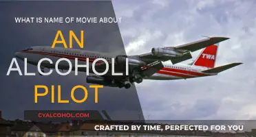 The Pilot's Battle with Alcoholism: Movie Title Ideas