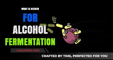 Unlocking the Secrets of Alcohol Fermentation: A Comprehensive Guide