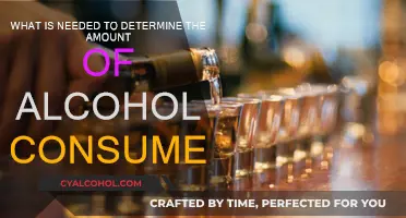 Alcohol Consumption: Determining Factors and Influences
