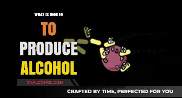 Fermentation Fundamentals: Key Ingredients for Alcohol Production