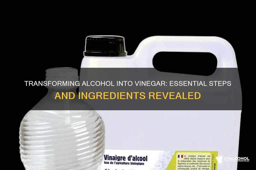 what is needed to turn alcohol into vinegar