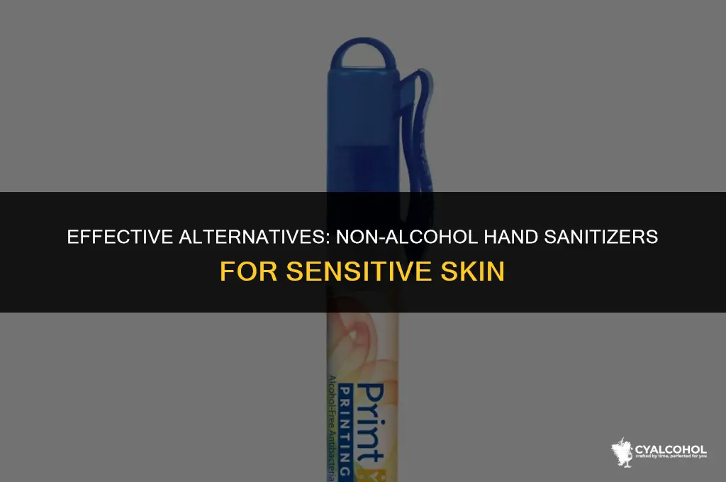 what is non alcohol hand sanitizer