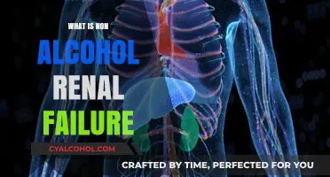 Understanding Non-Alcoholic Renal Failure: Causes and Prevention