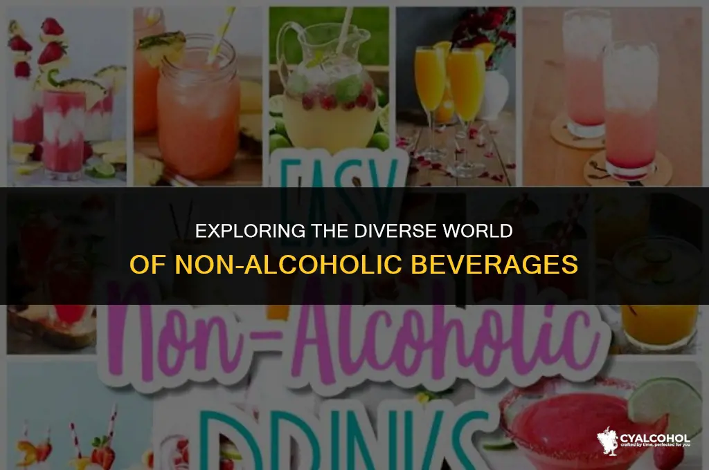what is non-alcoholic beverage industry