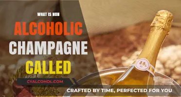 Exploring the World of Non-Alcoholic Champagne Alternatives