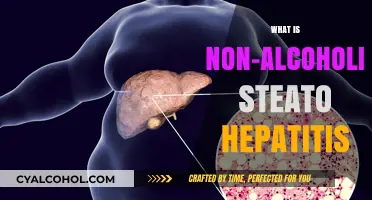 Understanding Non-Alcoholic Steato Hepatitis: Causes, Symptoms, and Treatment