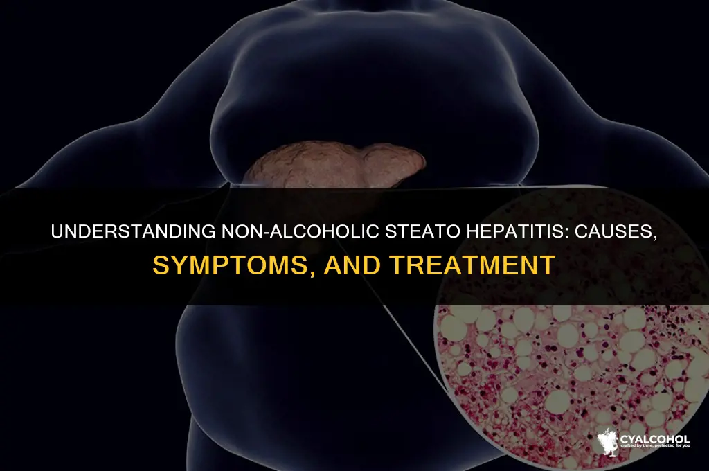 what is non-alcoholic steato hepatitis