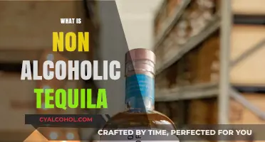 Exploring Non-Alcoholic Tequila: A Sober Twist on a Classic Spirit