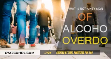 Alcohol Overdose: Recognizing the Subtle Signs