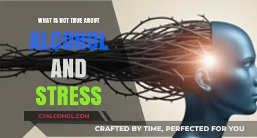 Debunking Myths: Alcohol and Stress – What’s Not True?