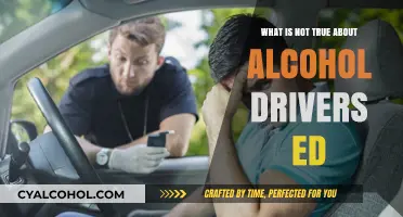 Debunking Common Myths: What's False About Alcohol in Drivers Ed