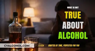 Debunking Common Myths: What's Not True About Alcohol