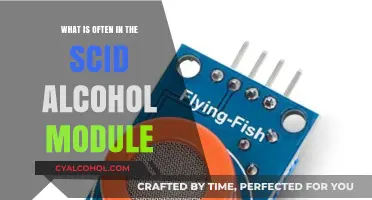 Understanding the SCID Alcohol Module: Key Components and Assessments