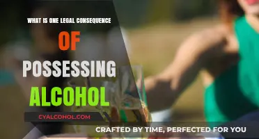 Legal Ramifications of Alcohol Possession: Understanding the Consequences