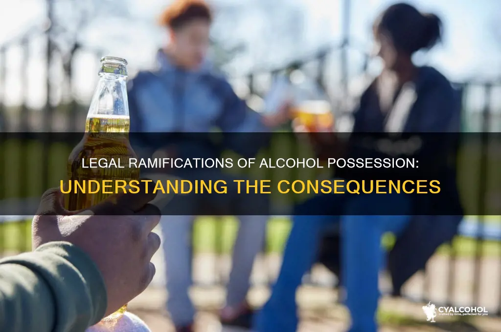 what is one legal consequence of possessing alcohol