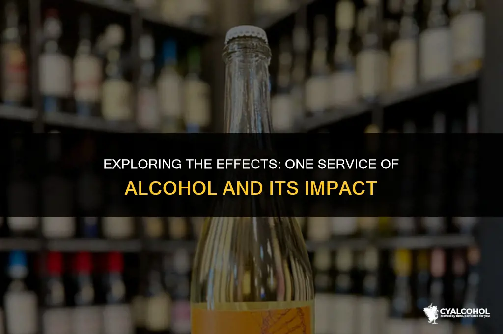 what is one service of alcohol