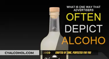Alcohol Ads: A Depiction of Fun and Freedom