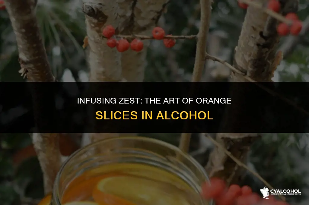 what is orange slices in alcohol