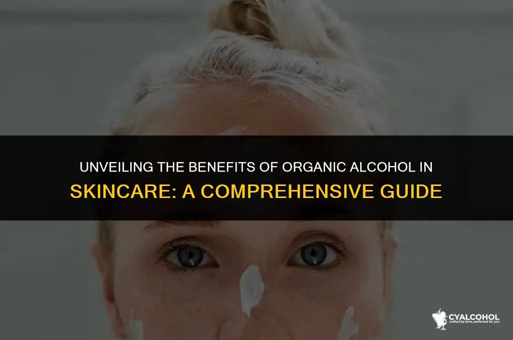 what is organic alcohol in skincare